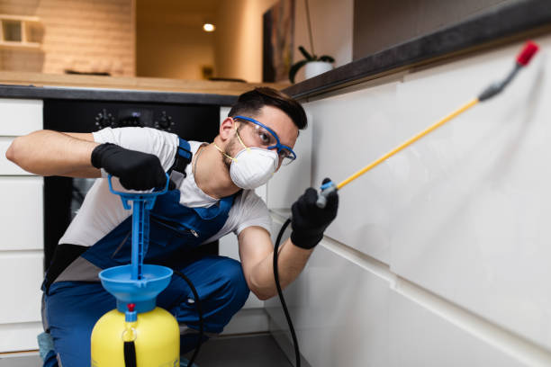 Best Cockroach Control Services  in Matamoras, PA
