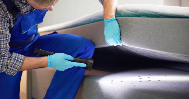 Best Exterminator Services  in Matamoras, PA