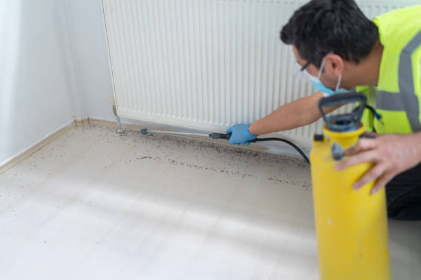 Best Pest Prevention Services  in Matamoras, PA