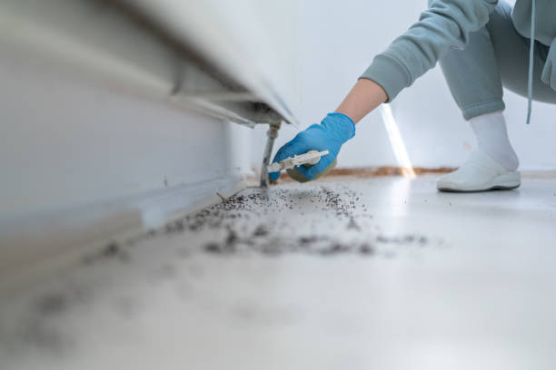 Best Cockroach Control Services  in Matamoras, PA